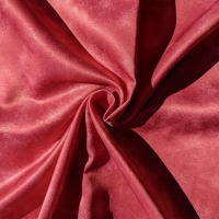 Magenta tacheté